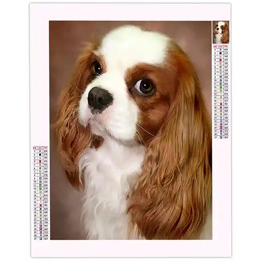 Broderie Diamant Cavalier King Charles