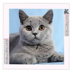 Broderie Diamant Chat British - Vignette | Broderie Diamant