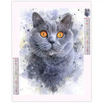 Broderie Diamant Chat Chartreux - Vignette | Broderie Diamant