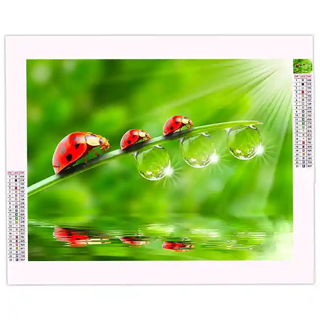 diamond painting coccinelle