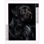 Broderie Diamant Labrador Noir - Vignette | Broderie Diamant