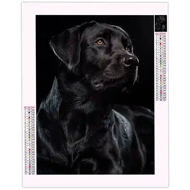 Broderie Diamant Labrador Noir