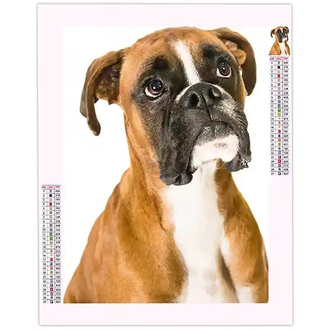 Diamond Painting Boxer Dog