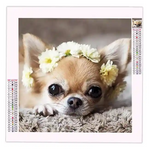 Diamond Painting Chihuahua - Vignette | Broderie Diamant