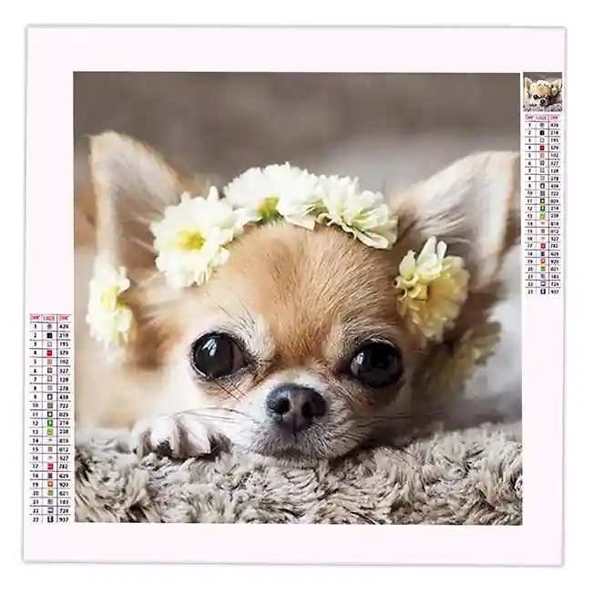 Diamond Painting Chihuahua