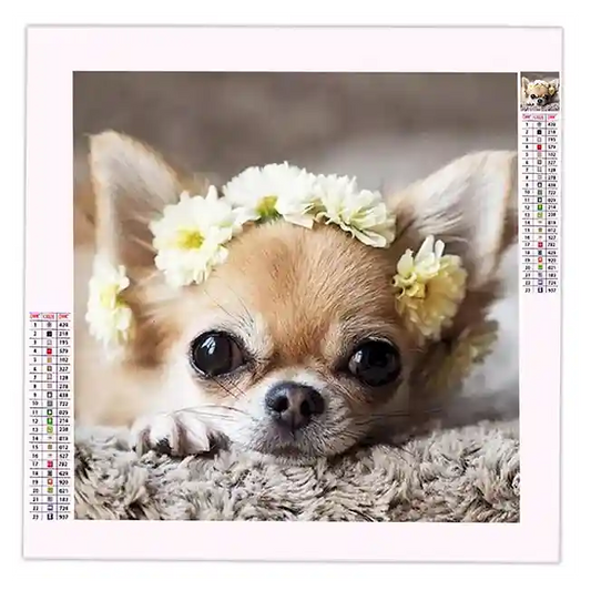 Diamond Painting Chihuahua