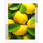 Diamond Painting Citron - Vignette | Broderie Diamant